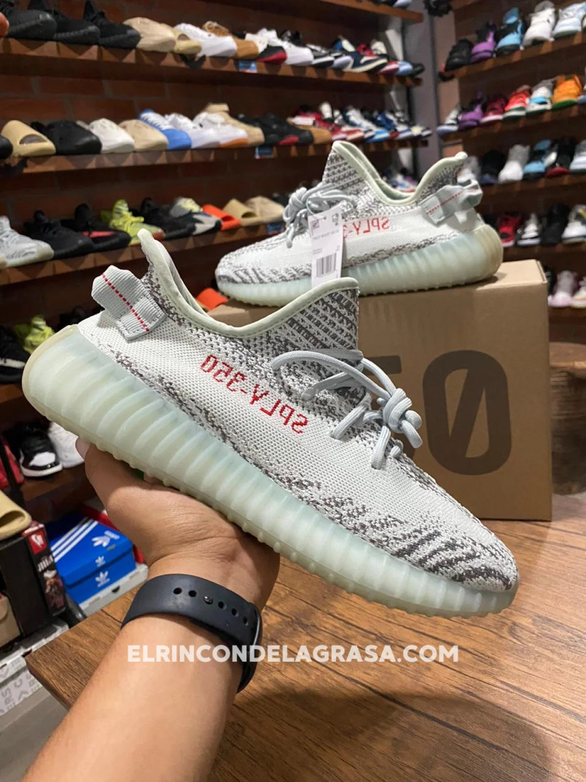 Yeezy 350 Blue Tint Sneakers