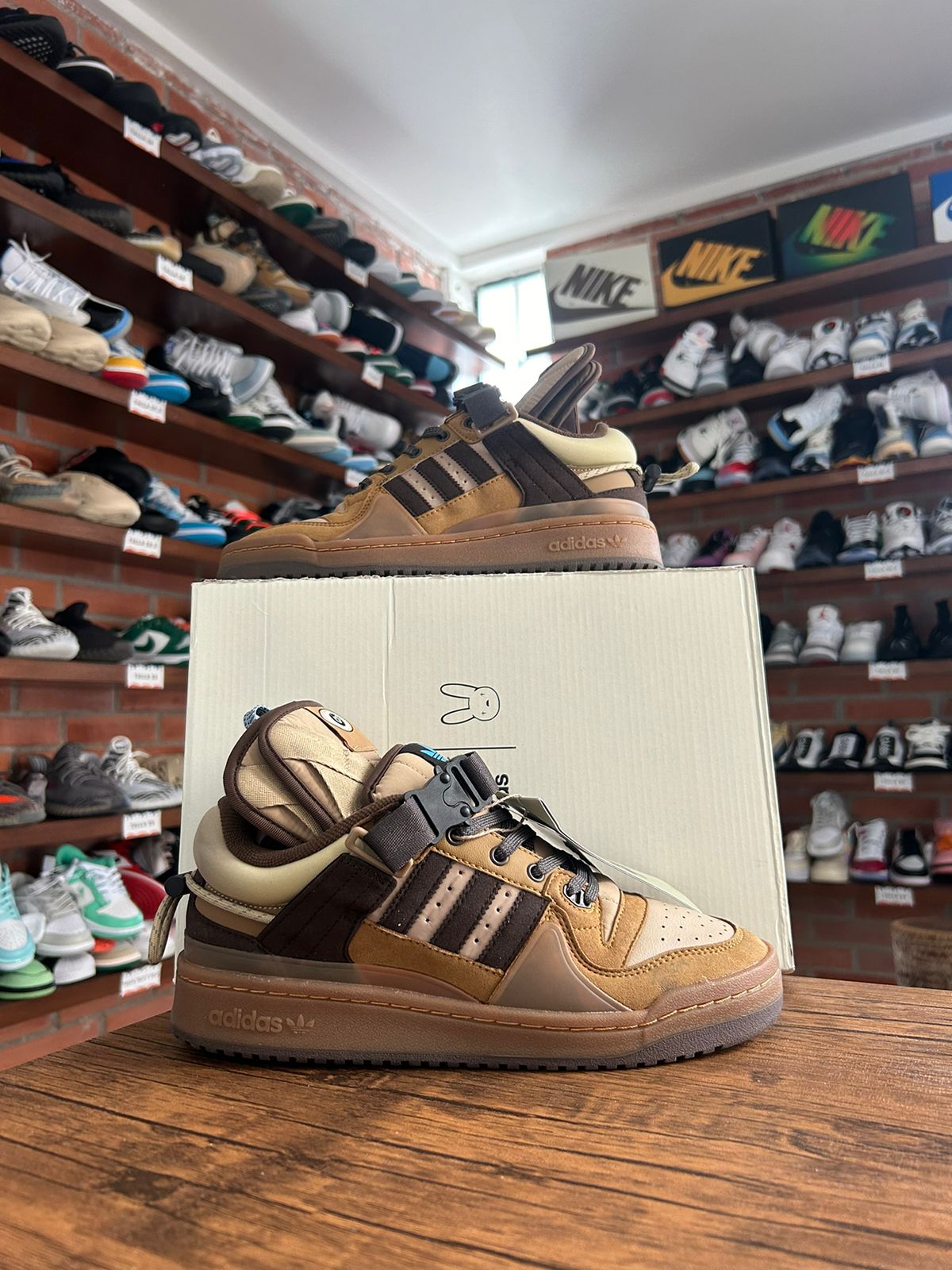 Adidas Forum Bad Bunny Brown