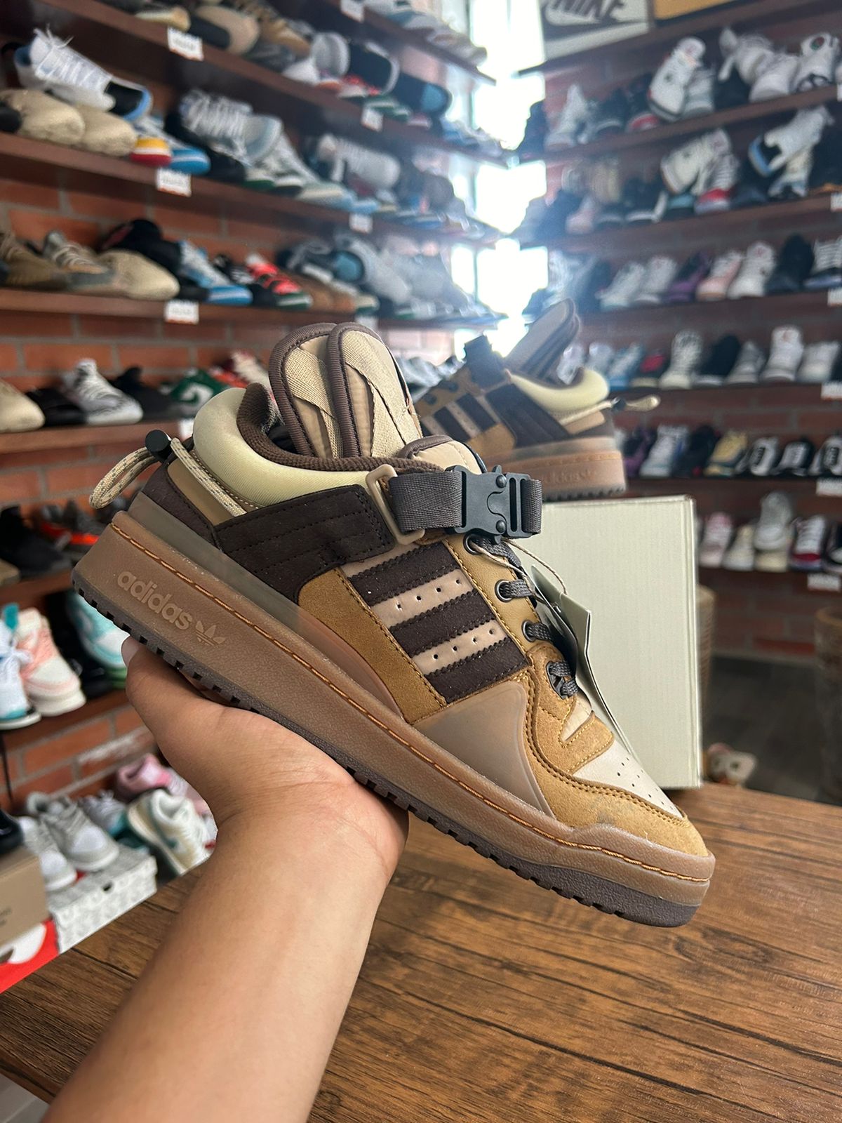 Adidas Forum Bad Bunny Brown