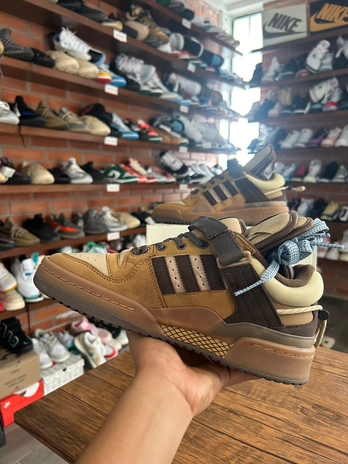 Adidas Forum Bad Bunny Brown