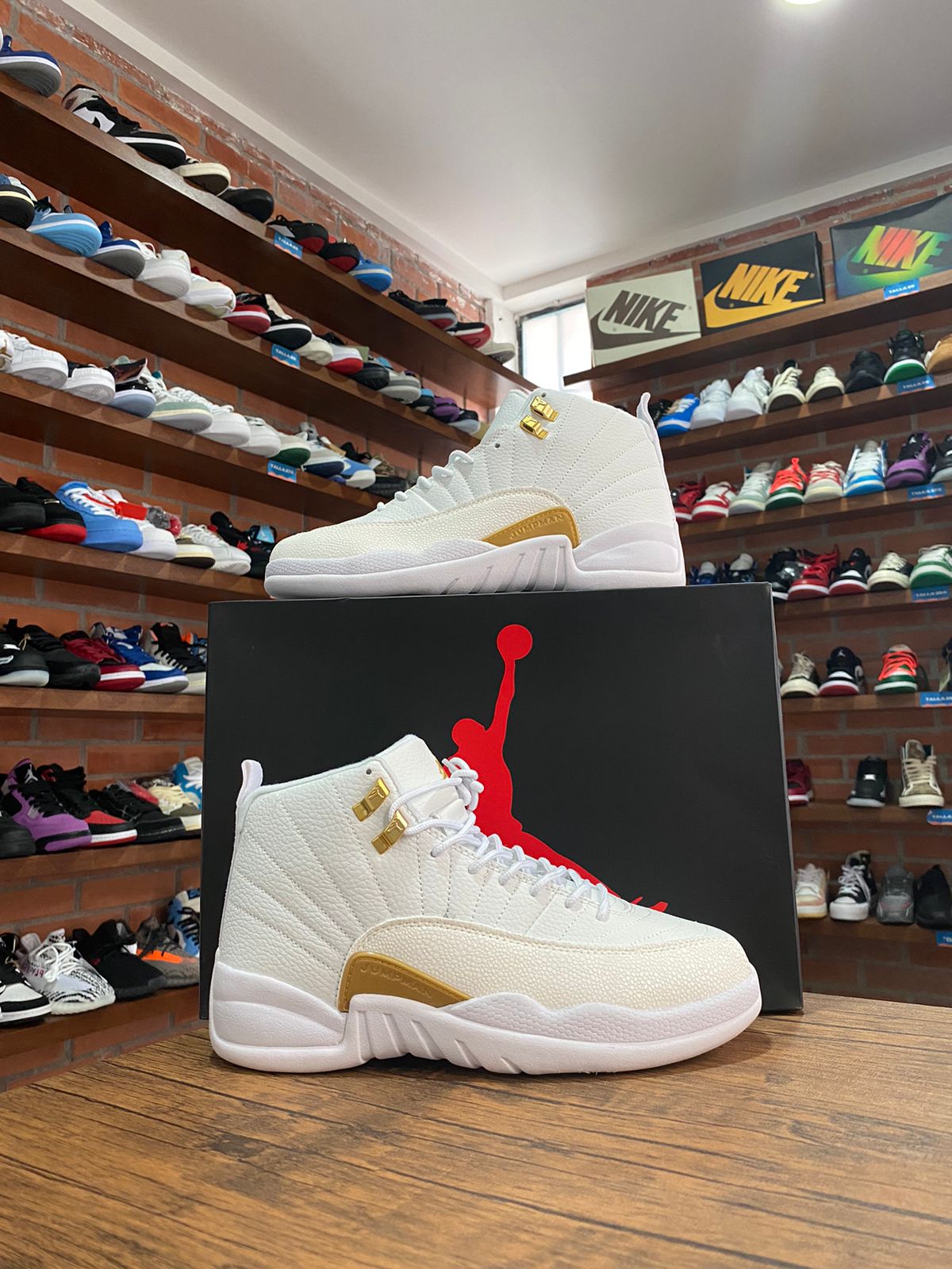 Jordan 12 OVO