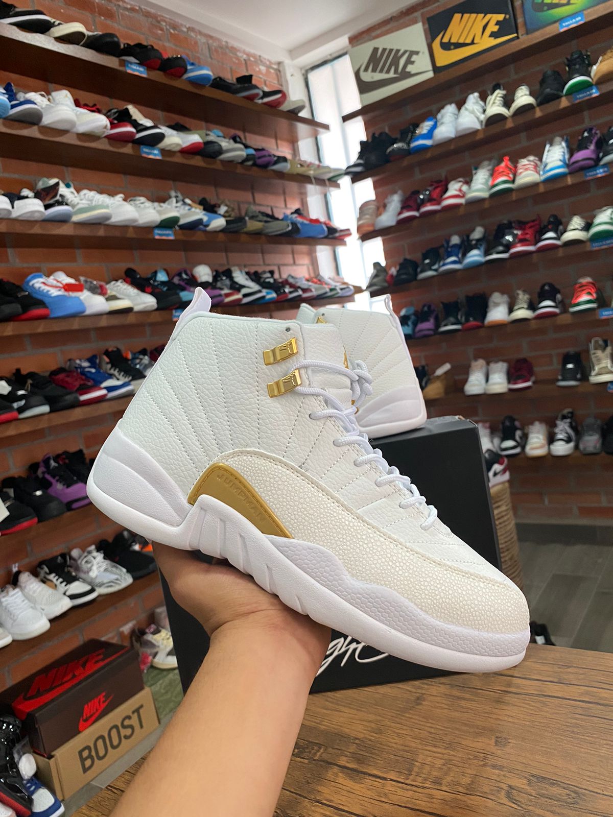 Jordan 12 OVO