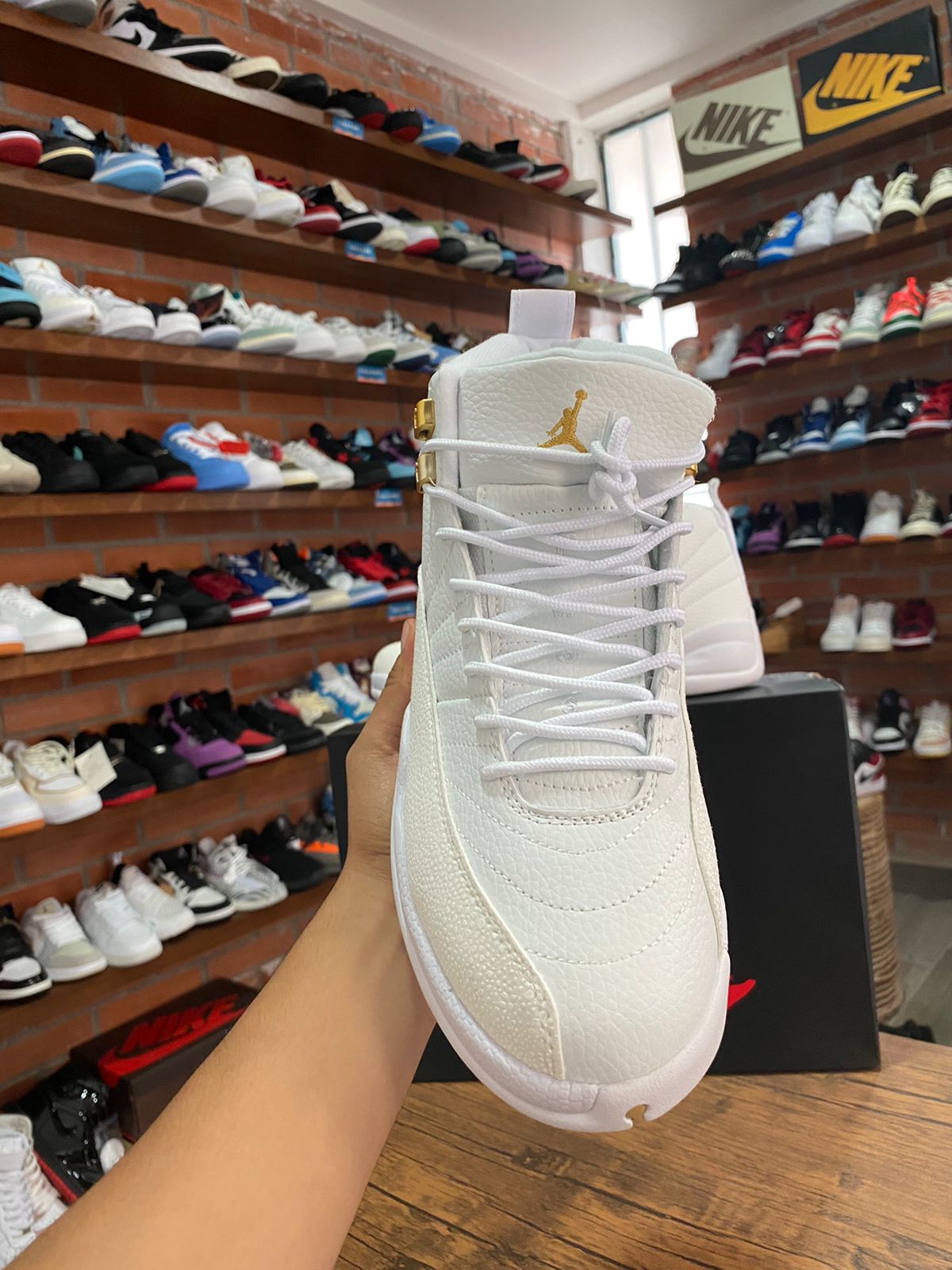 Jordan 12 OVO