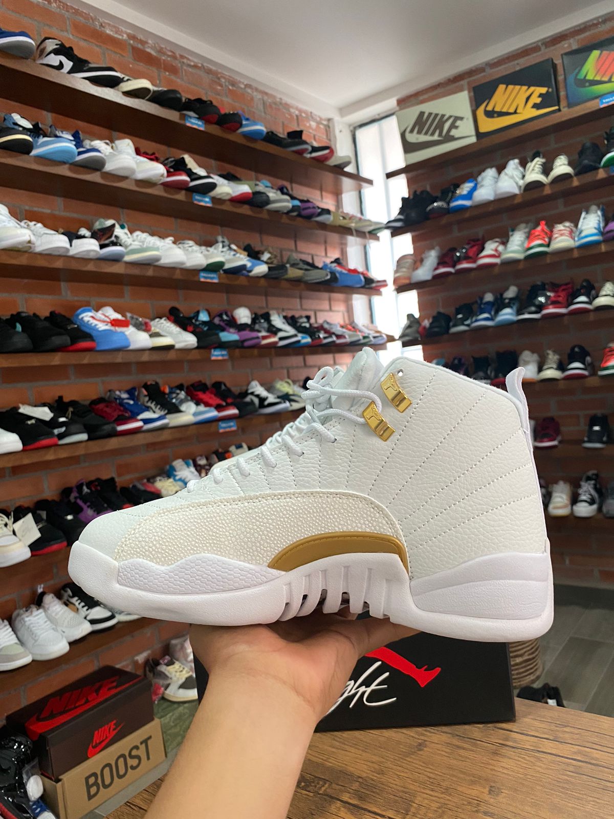 Jordan 12 OVO