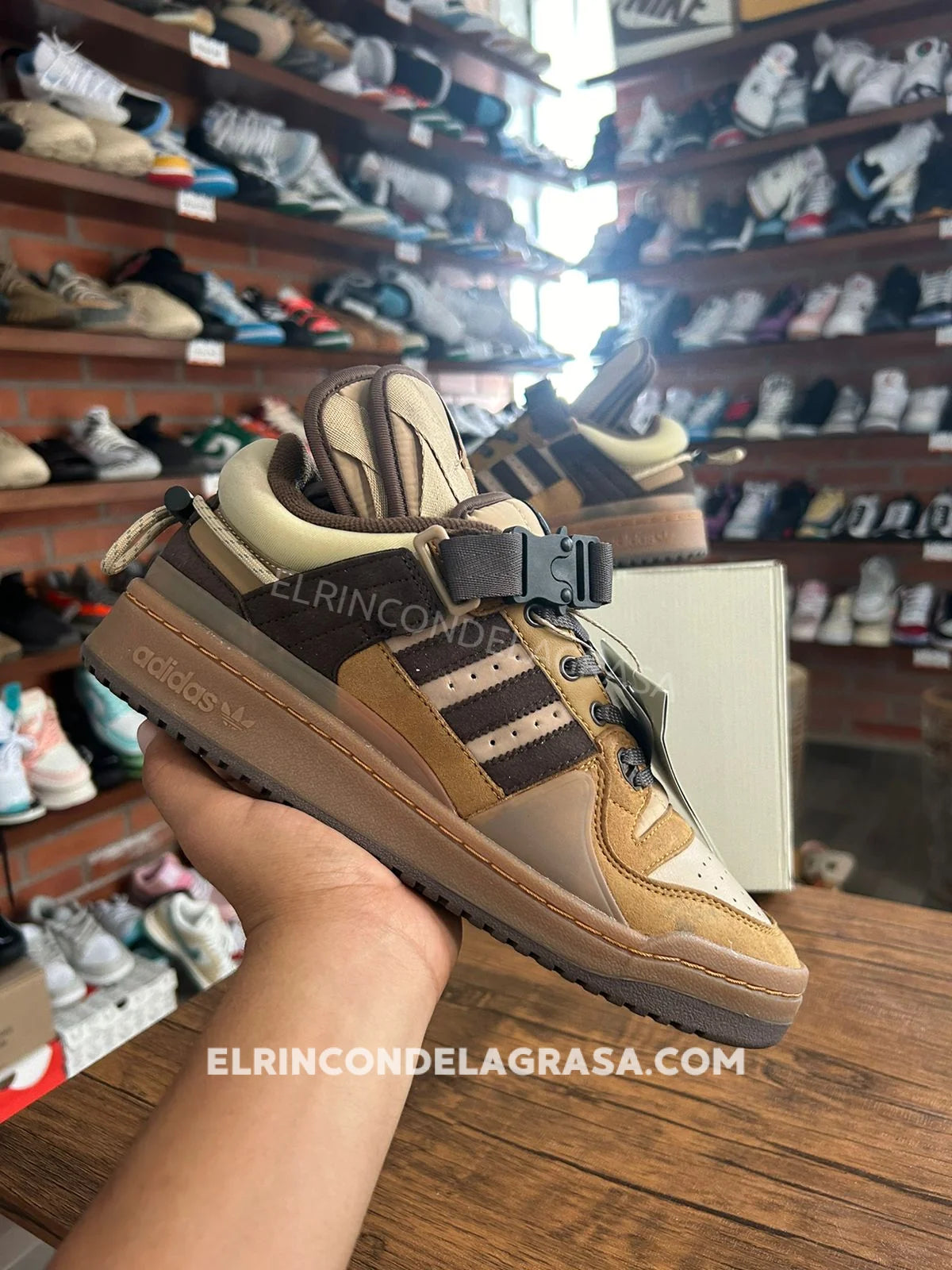 Adidas Forum Bad Bunny Brown Sneakers