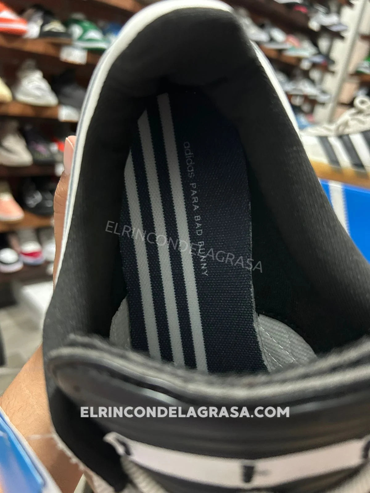 Adidas Gazele Benito Sneakers