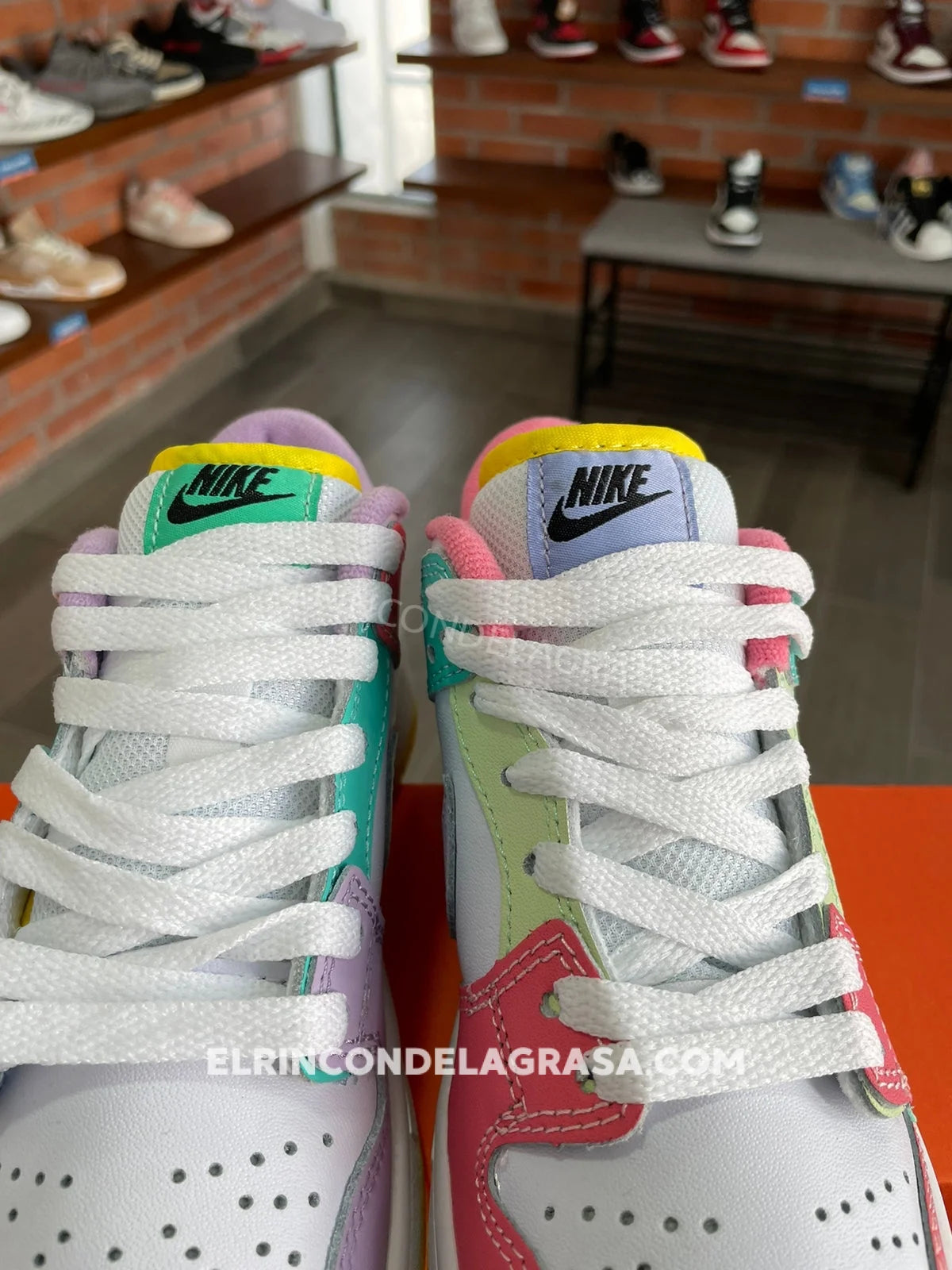 Nike Sb Dunk Multicolor Sneakers