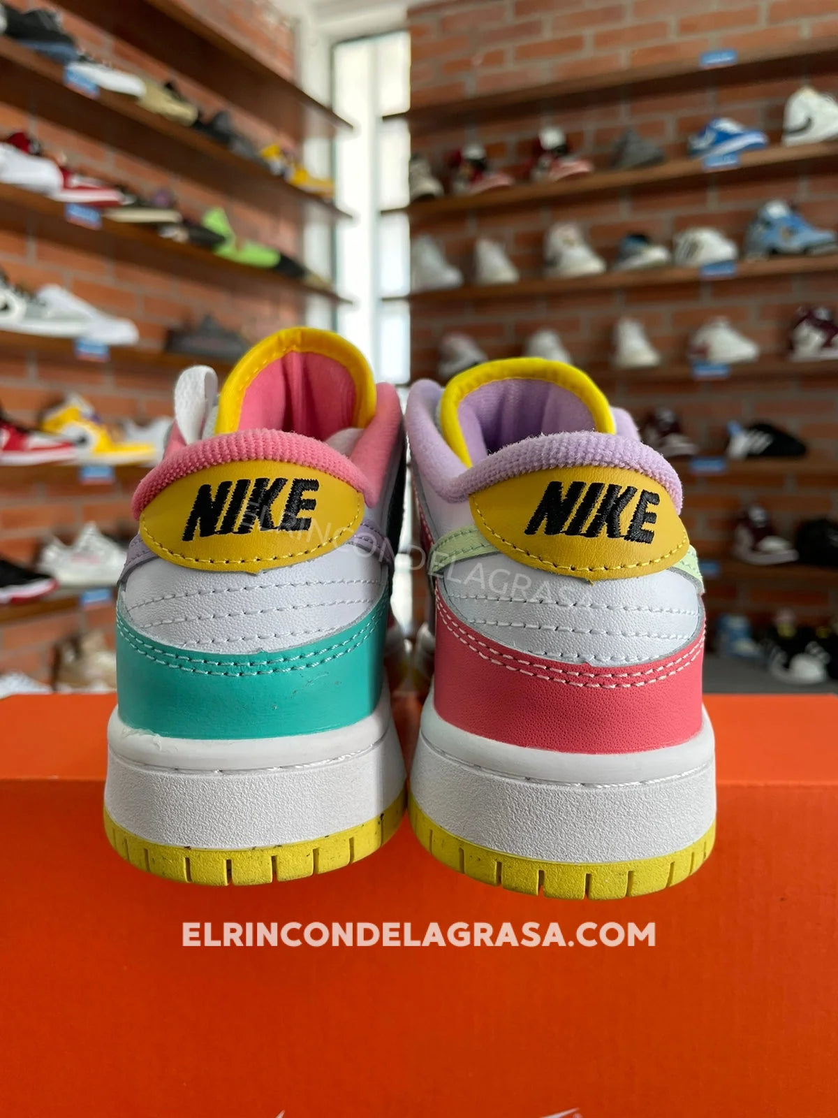 Nike Sb Dunk Multicolor Sneakers