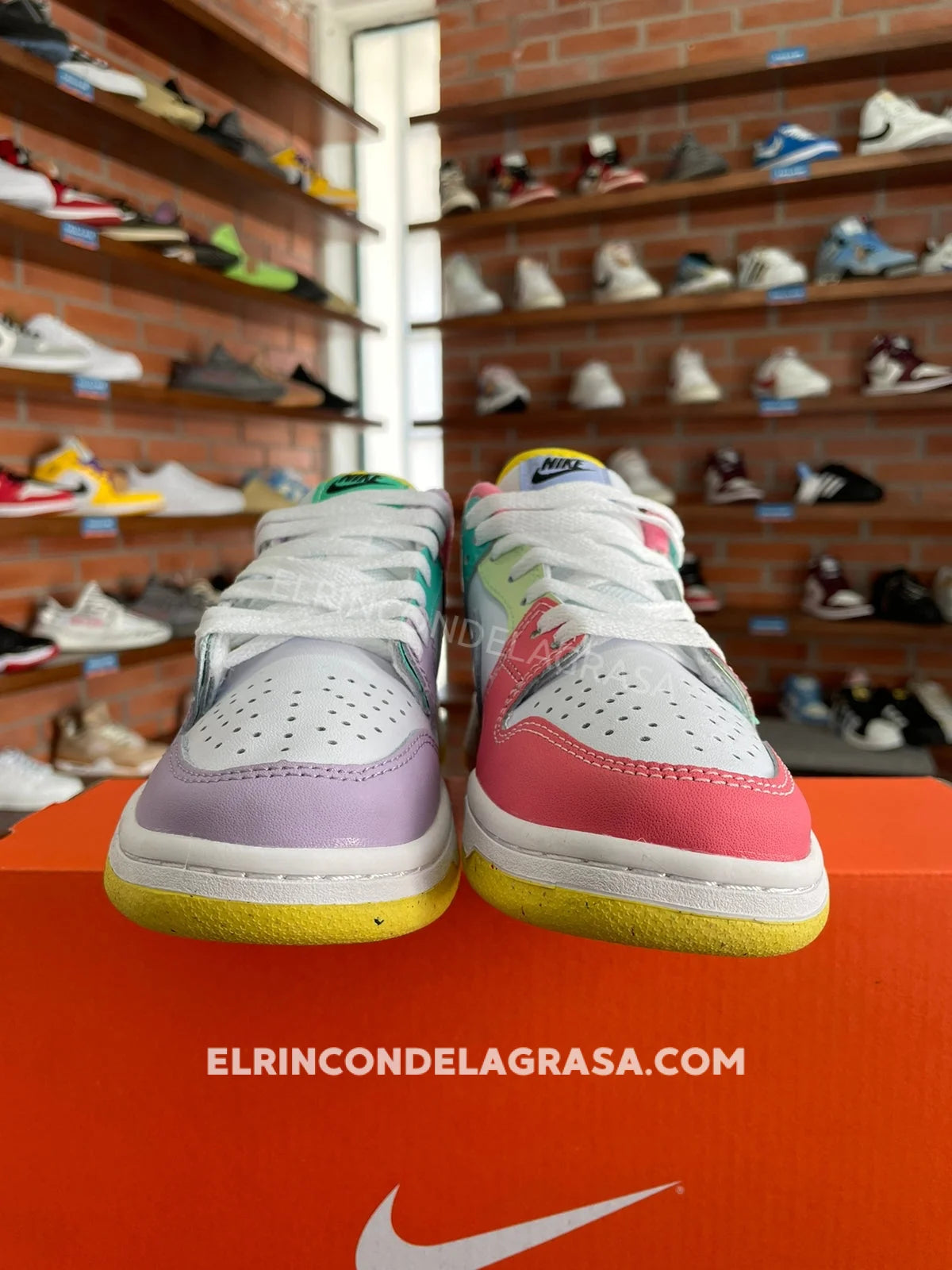 Nike Sb Dunk Multicolor Sneakers