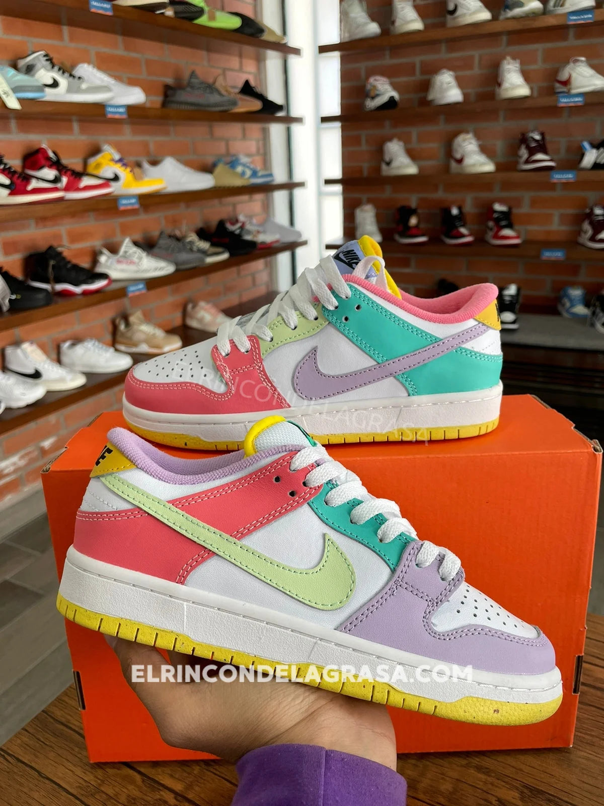 Nike Sb Dunk Multicolor Sneakers